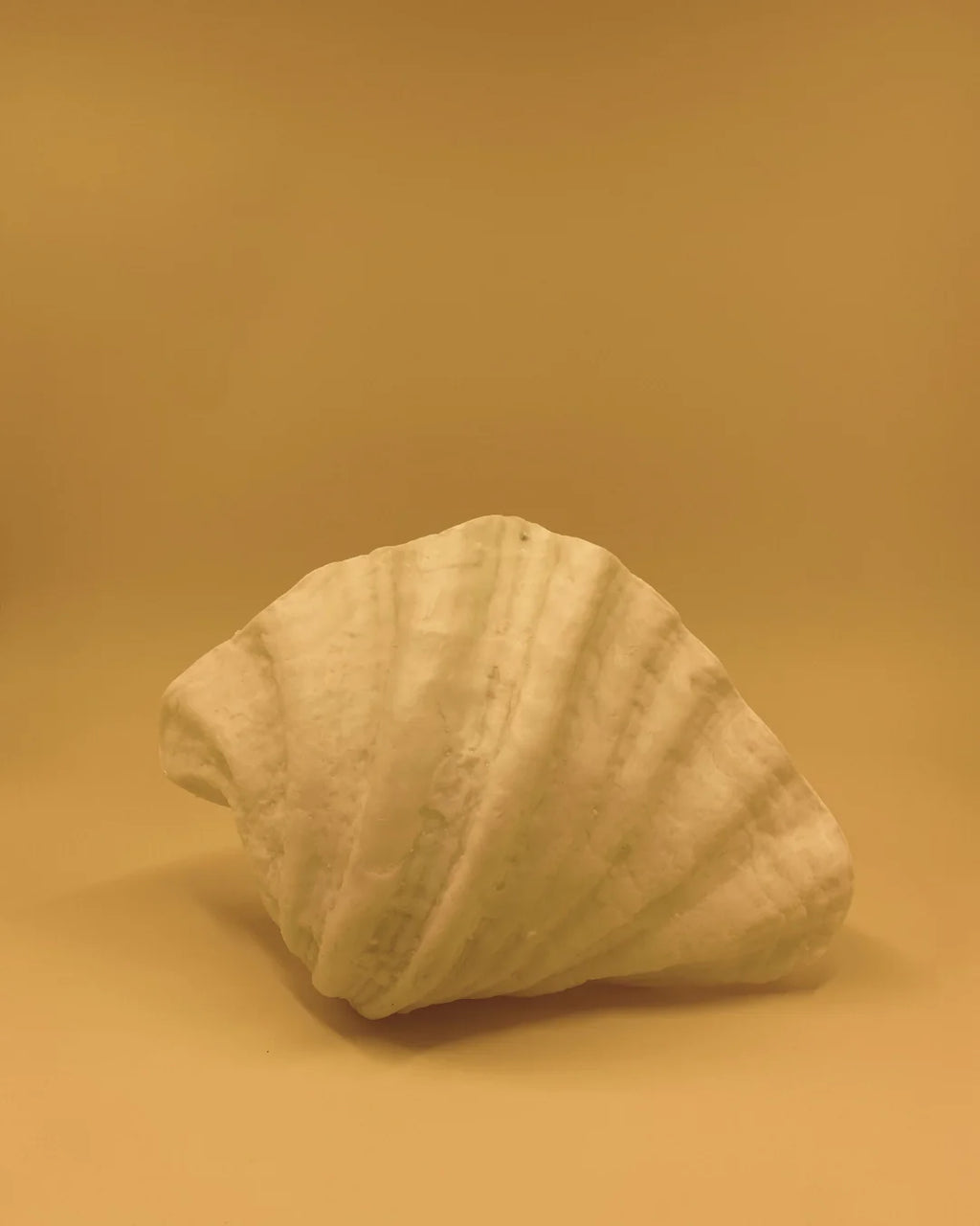 L'applique murale ZURI CLAM