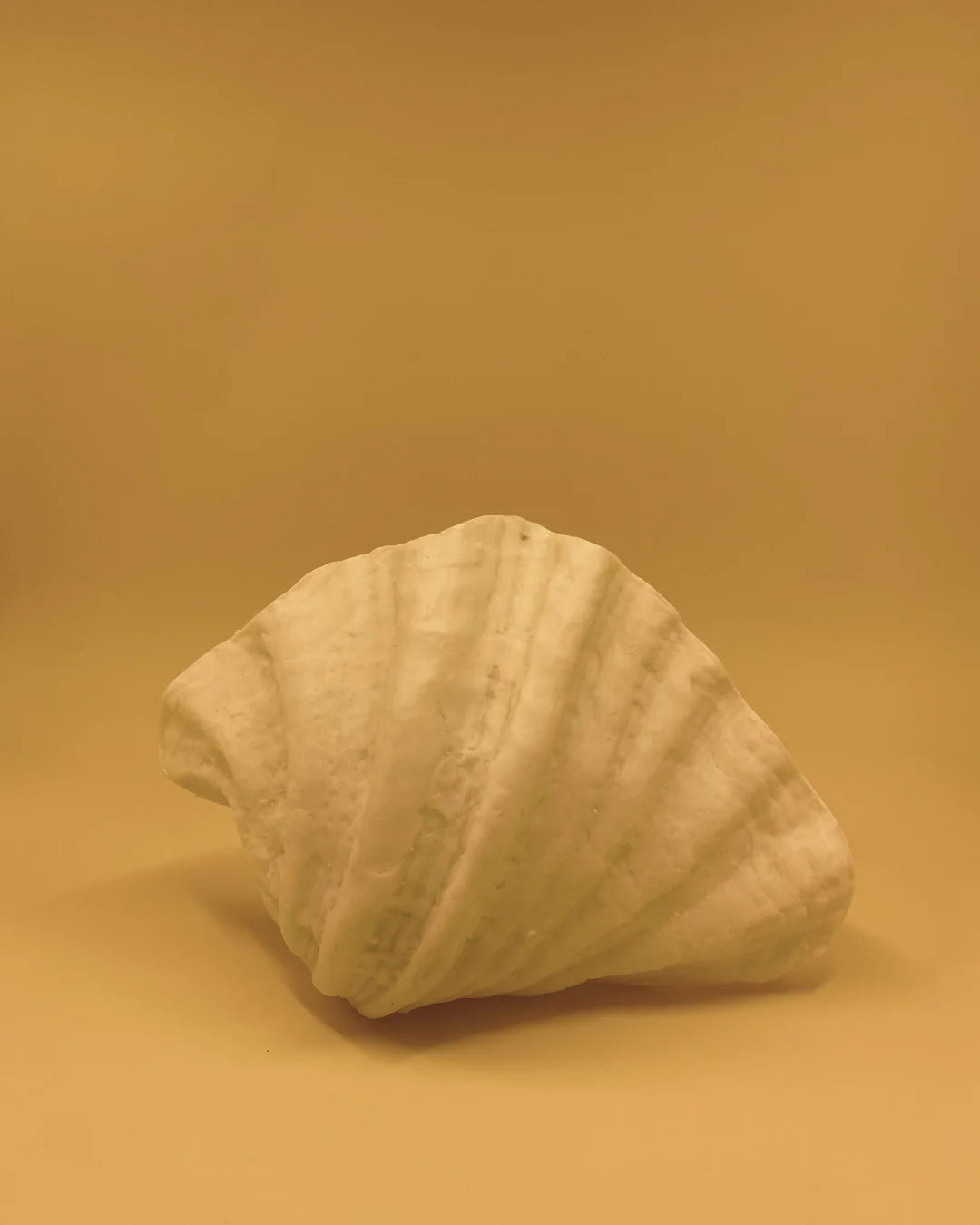 L'applique murale ZURI CLAM