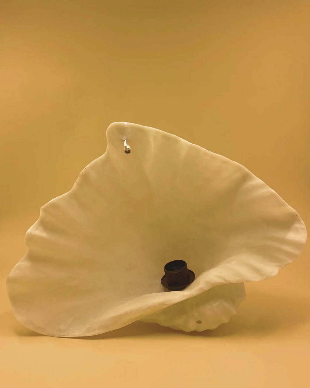 L'applique murale ZURI CLAM