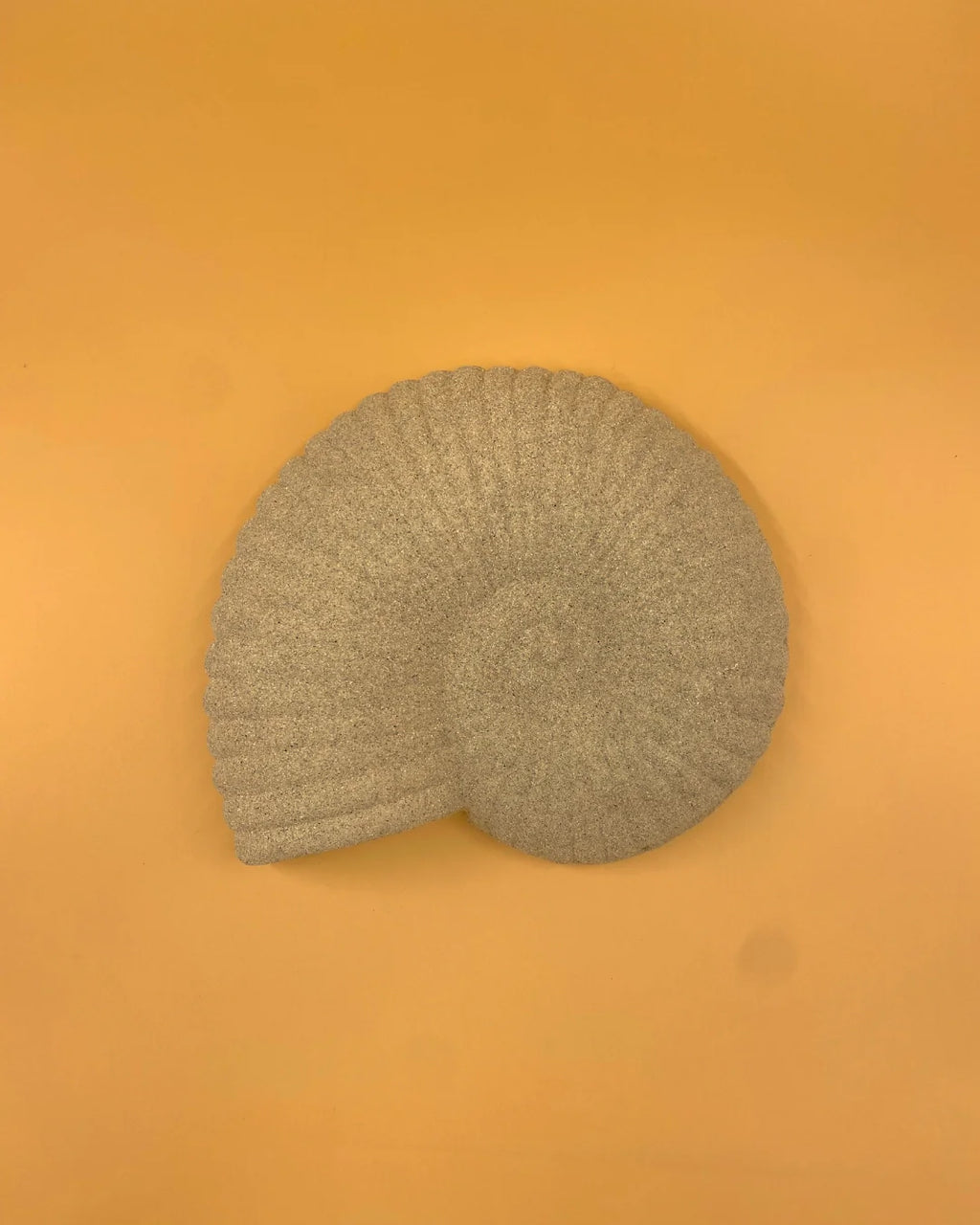 L'applique murale Solea Shell