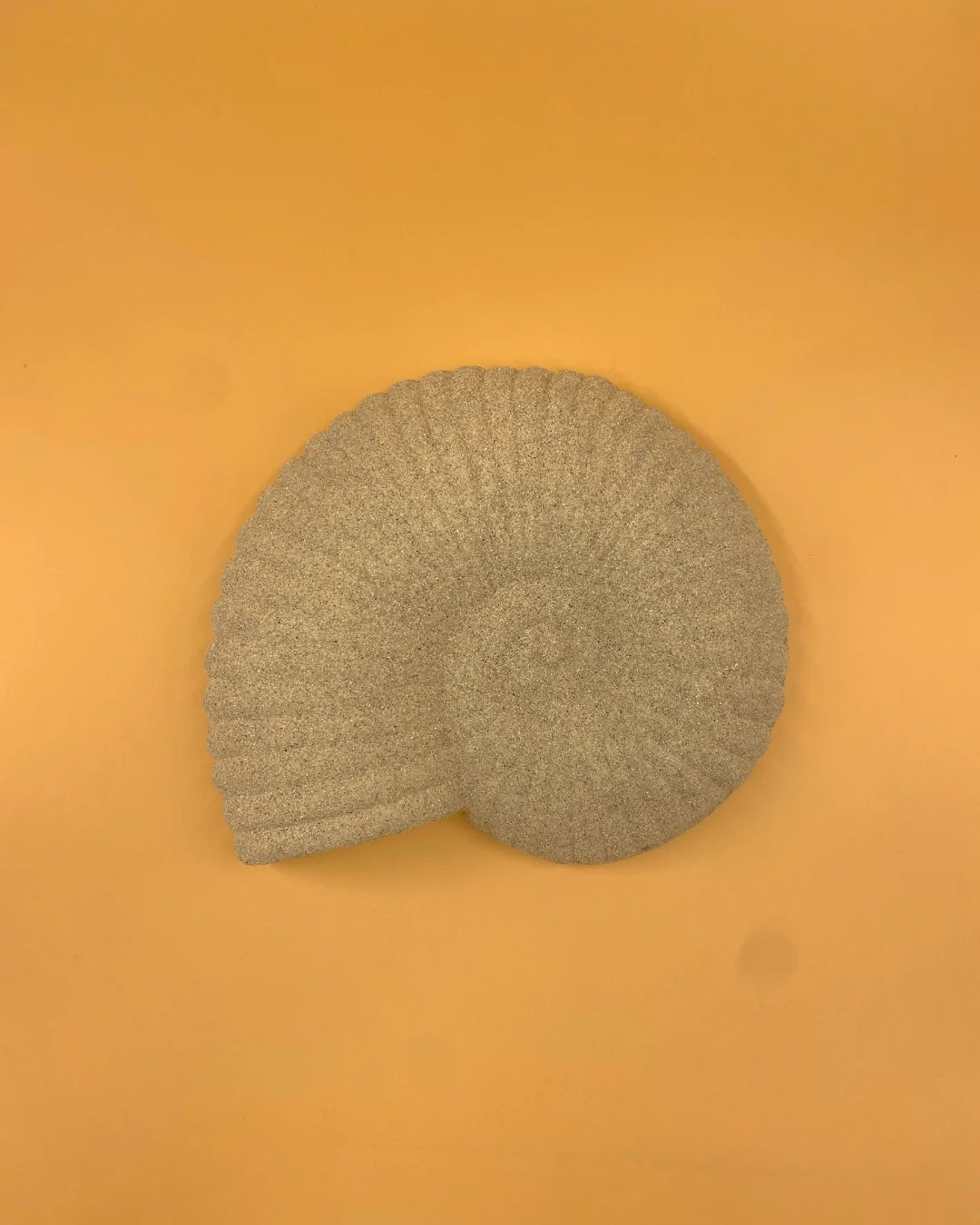 L'applique murale Solea Shell