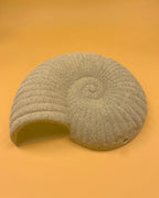 L'applique murale Solea Shell