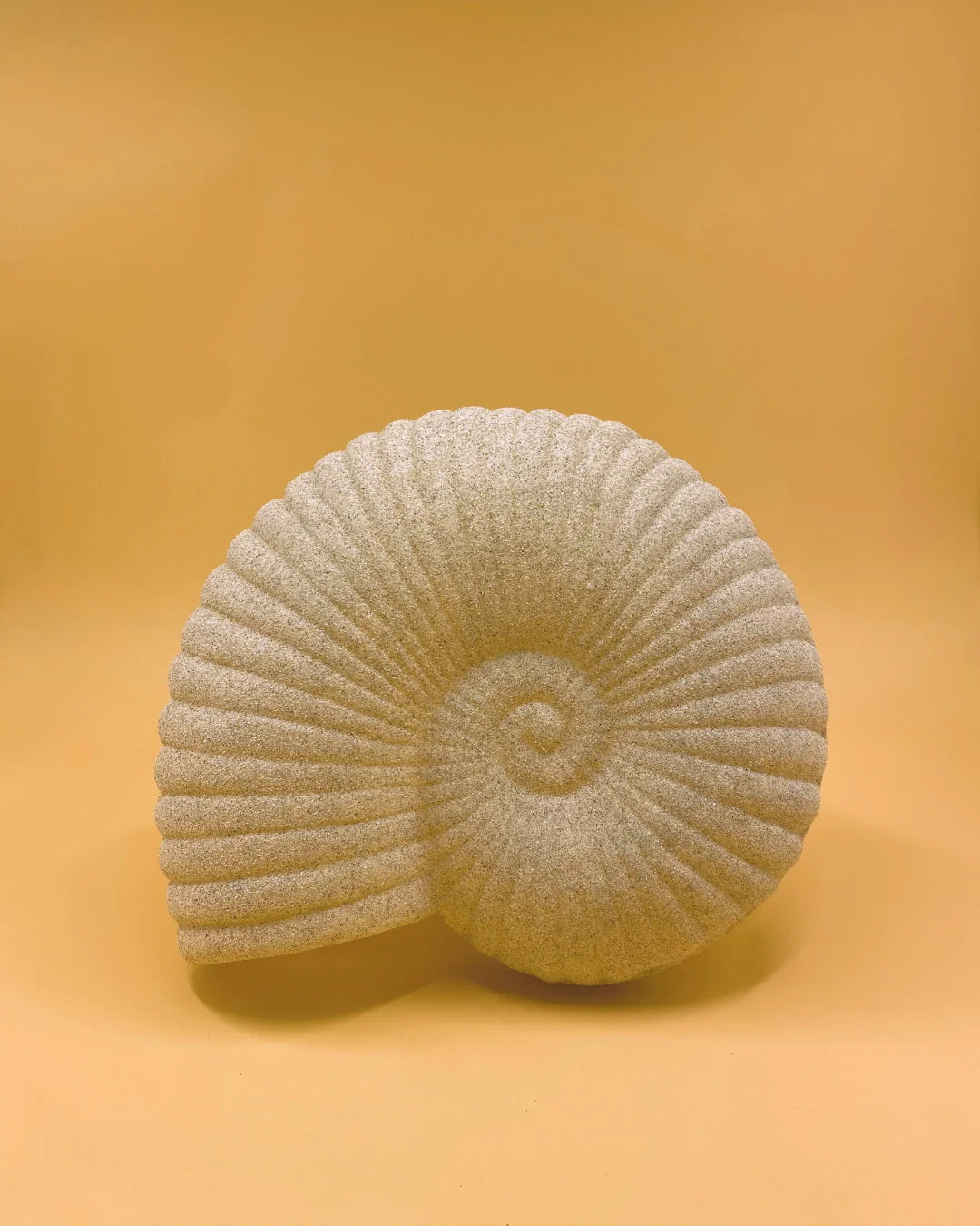 L'applique murale Solea Shell