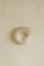 L'applique murale Solea Shell
