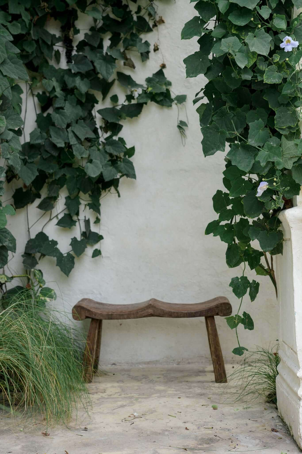 LE BANC ALVAREZ - 2 PLACES