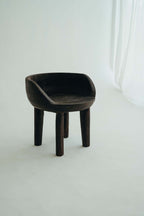 LE FAUTEUIL CARLOS