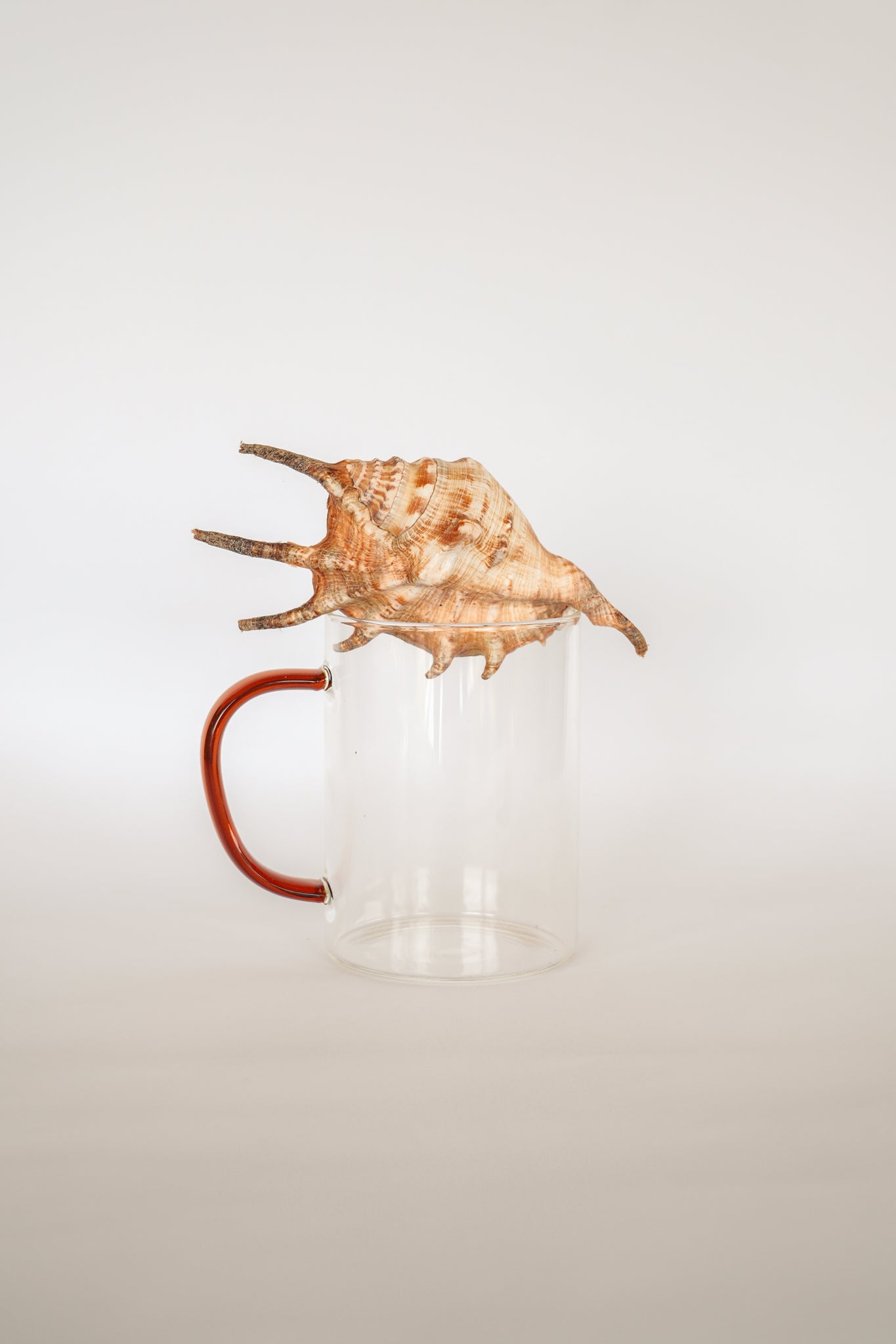 LE MUG EN VERRE DAWN