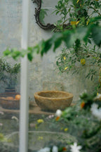 LE BASSIN D'ONYX 003