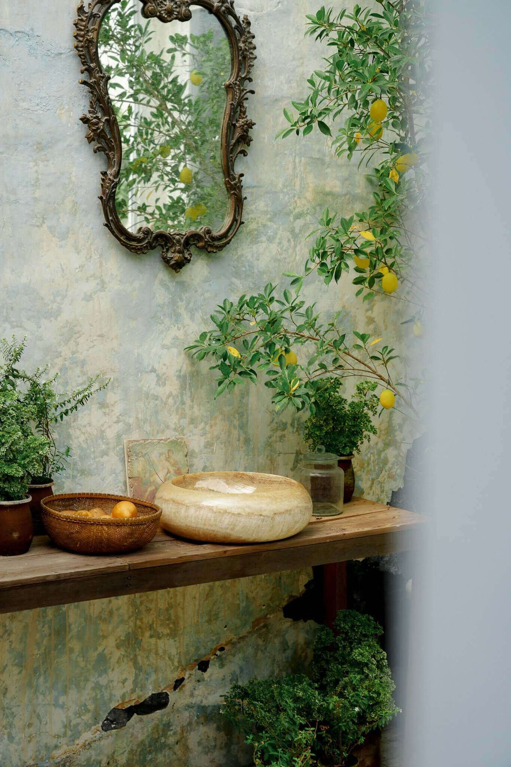 LE BASSIN D'ONYX 004